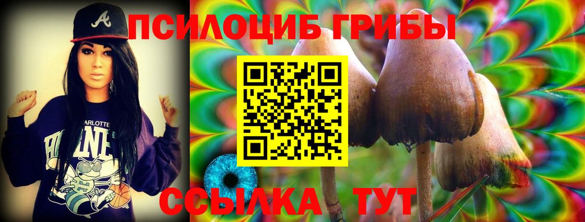 Бор  Галлюциногенные грибы Cubensis  Вход с VPN 